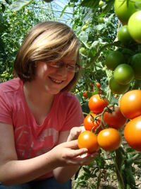 Tomaten, t&auml;glich frisch!